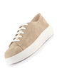 Women Beige Denim Canvas Lace Up Platform Sneakers|Classic Height Enhancer Casual Shoes for Travel and Outdoor|Cushioned Insole