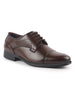 Men Brown Formal Classic Office Lace Up Derby College Shoes|Evening Party, Event, Wedding Tuxedo Oxford Shoe|Memory Cushioned Insole