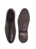 Men Brown Premium Formal Round Toe Lace-Up Shoes | Classic Derby Style Office Dress Shoes with Memory Cushioned Insole | Anti-Slip TPR Sole