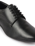 brogues shoes for men